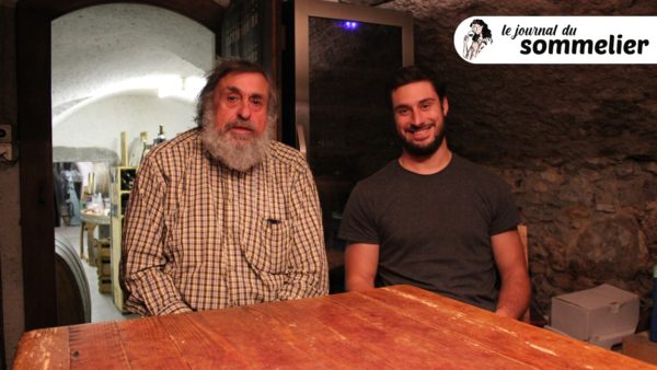 Weinbau von Tscharner